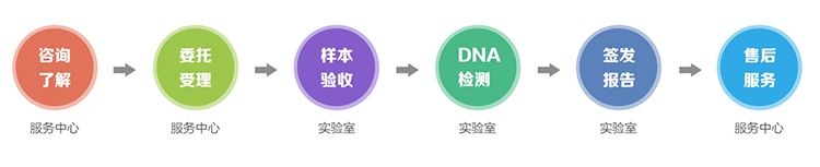 石家庄隐私亲子鉴定流程